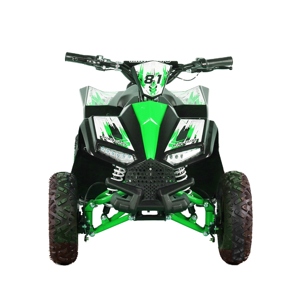 Outdoor Adventure Quad Biking - Kids Electric ATV Quad 1000W 48V