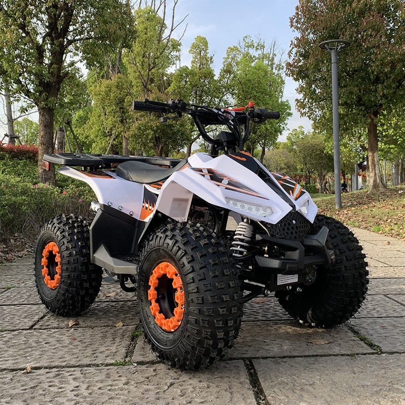 Outdoor Adventure Quad Biking - 125CC ATV, Small Falcon All-Terrain Vehicle,