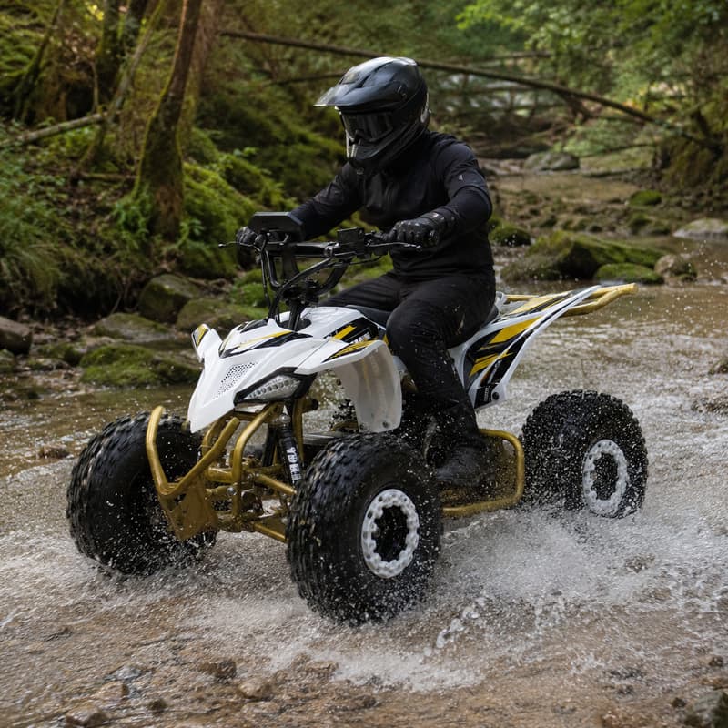 Outdoor Adventure Quad Biking - Adult Dune Buggy Customized Four Wheel