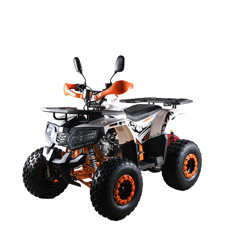 110cc CE EPA  ATV Adult 4-Whee - Outdoor Adventure Quad Biking review and price