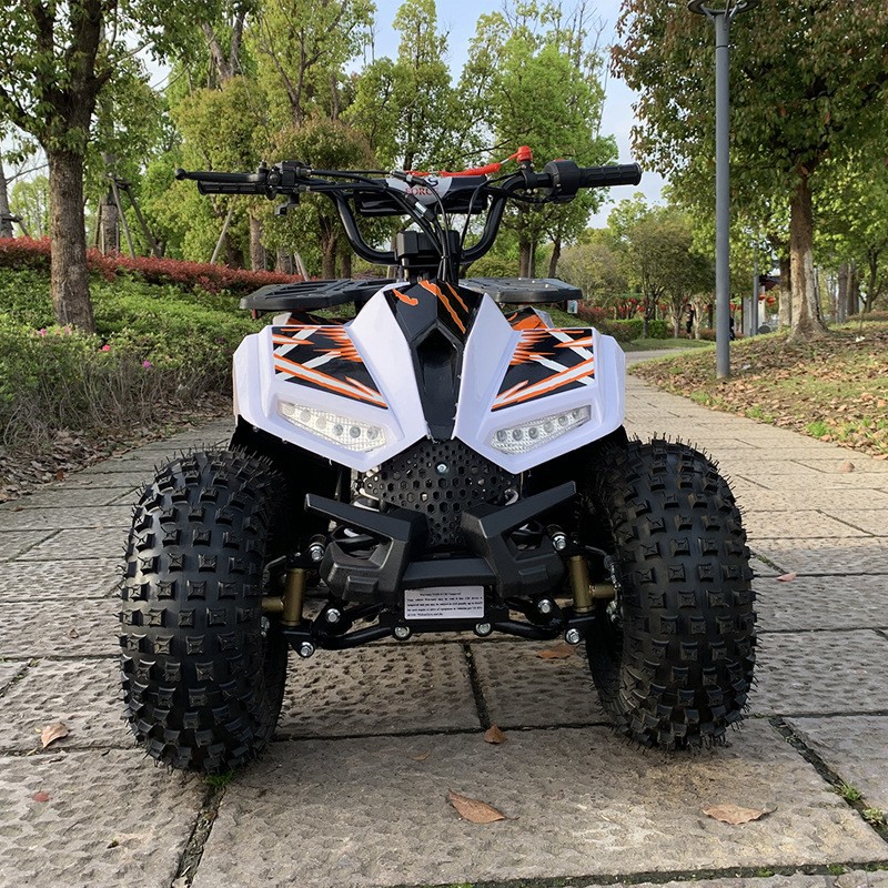 125CC ATV, Small Falcon All-Te - Outdoor Adventure Quad Biking review and price