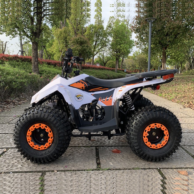 125CC ATV, Small Falcon All-Te - Outdoor Adventure Quad Biking review and price