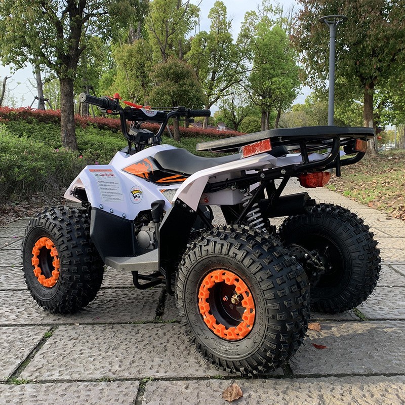 125CC ATV, Small Falcon All-Te - Outdoor Adventure Quad Biking review and price