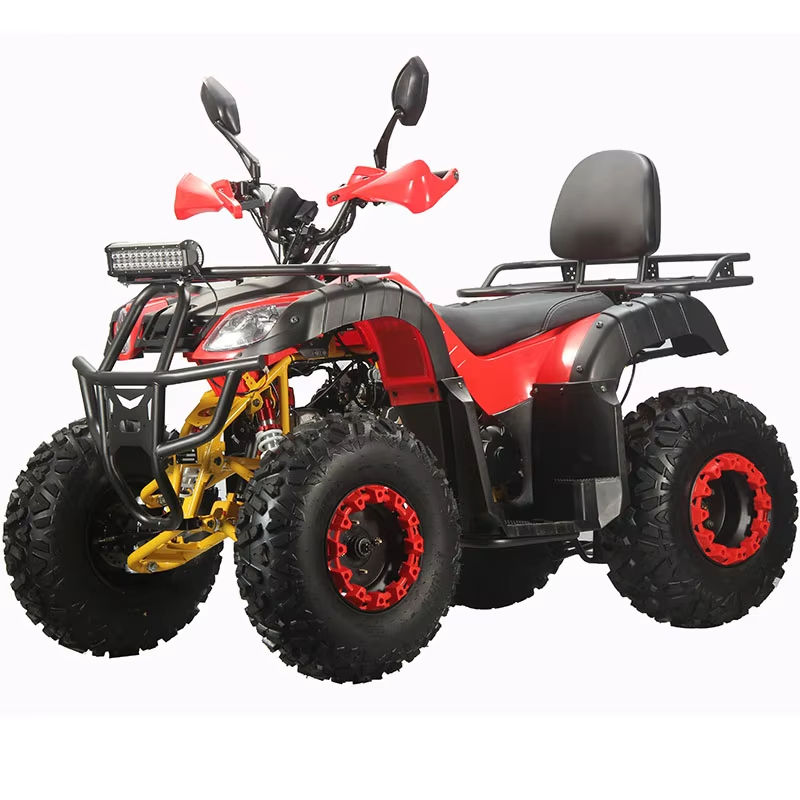 Adult Dune Buggy Customized Fo - Outdoor Adventure Quad Biking review and price