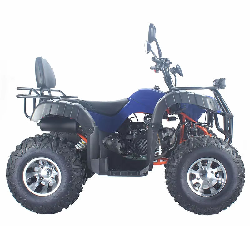 Racing Adult Dune Buggy Custom - Outdoor Adventure Quad Biking review and price