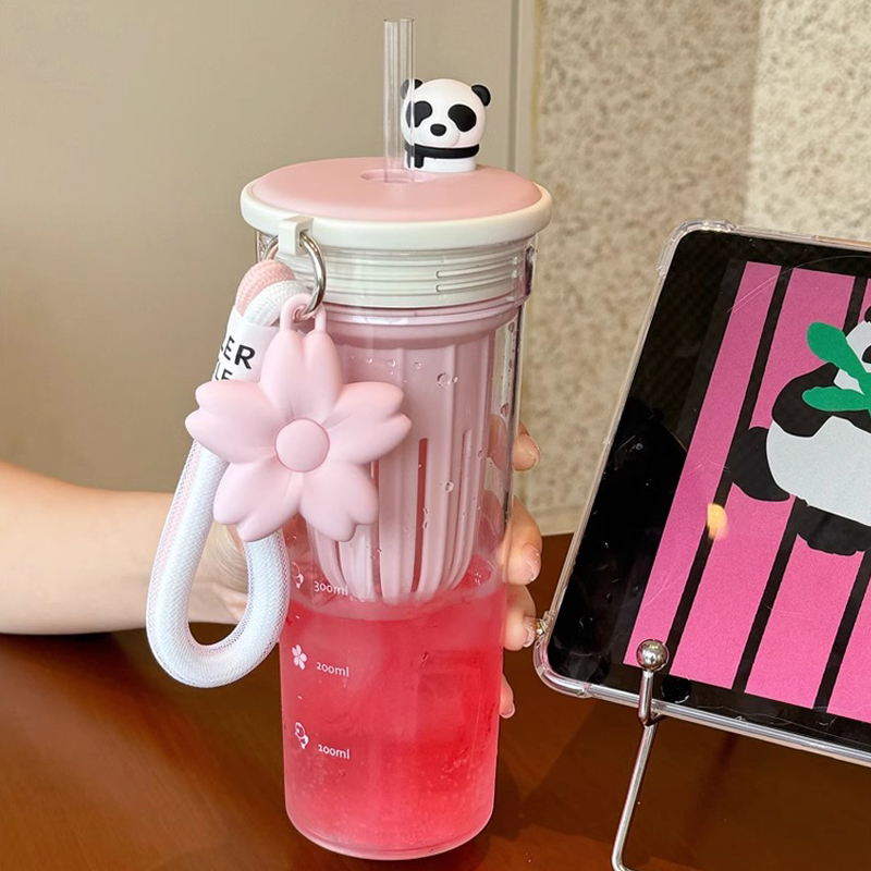 650ml Kawaii Water Bottle With - Water Filter Straw review and price