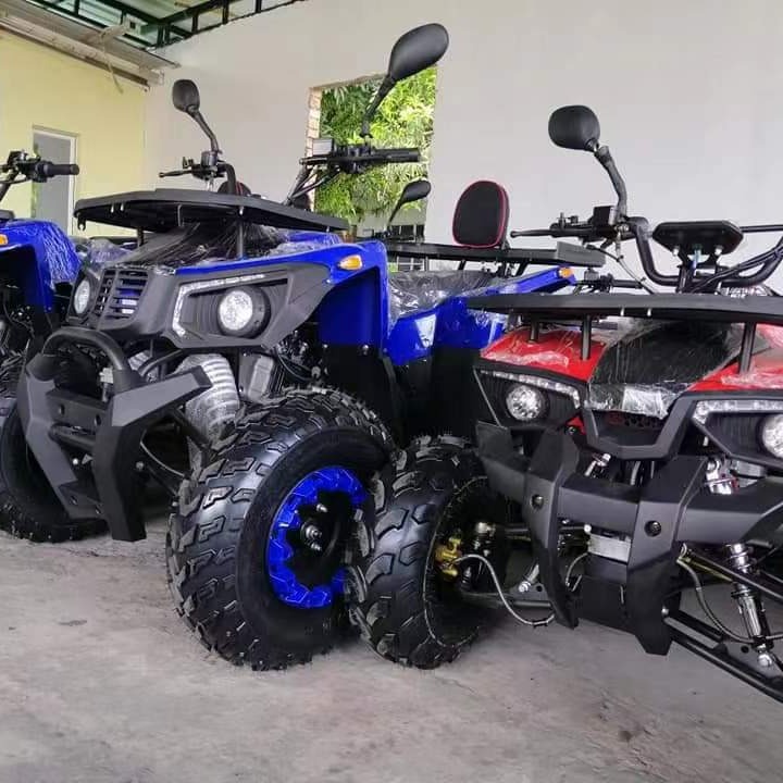 All Terrain Sand Buggy 200CC G - Outdoor Adventure Quad Biking review and price